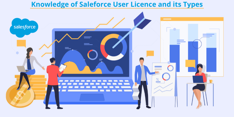 How Many Types of Salesforce User Licenses Are There?