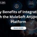 Key Benefits of Integrating with the MuleSoft Anypoint Platform