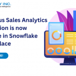 InfoFiscus-Sales-Analytics-Application-is-now-available-in-Snowflake-Marketplace