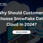 Why Customers Choose Snowflake Data Cloud In 2024?