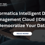 Informatica Intelligent Data Management Cloud IDMC Democratize Your Data