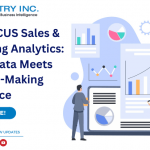 INFOfISCUS Sales & Marketing Analytics: Where Data Meets Decision-Making Excellence