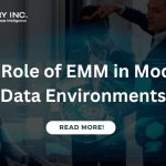 The Role of EMM in Modern Data Environments